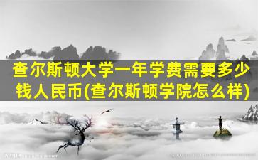 查尔斯顿大学一年学费需要多少钱人民币(查尔斯顿学院怎么样)