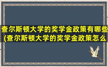 查尔斯顿大学的奖学金政策有哪些(查尔斯顿大学的奖学金政策怎么样)