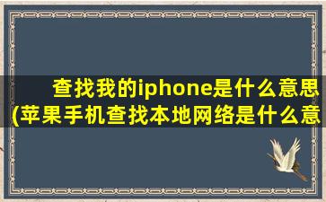 查找我的iphone是什么意思(苹果手机查找本地网络是什么意思)