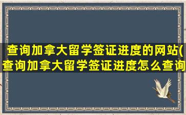 查询加拿大留学签证进度的网站(查询加拿大留学签证进度怎么查询)