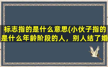 标志指的是什么意思(小伙子指的是什么年龄阶段的人，别人结了婚的人，能叫别人小伙子吗帅哥与小伙子有什么区别)