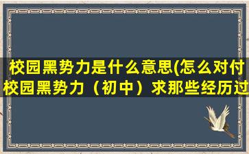 校园黑势力是什么意思(怎么对付校园黑势力（初中）求那些经历过的人来回答)