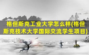 格但斯克工业大学怎么样(格但斯克技术大学国际交流学生项目)