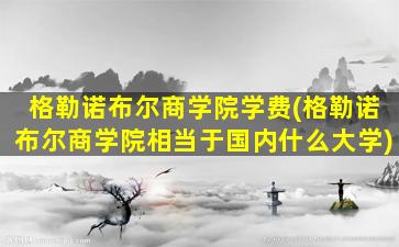 格勒诺布尔商学院学费(格勒诺布尔商学院相当于国内什么大学)