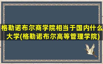 格勒诺布尔商学院相当于国内什么大学(格勒诺布尔高等管理学院)