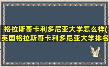 格拉斯哥卡利多尼亚大学怎么样(英国格拉斯哥卡利多尼亚大学排名)