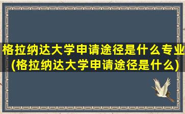 格拉纳达大学申请途径是什么专业(格拉纳达大学申请途径是什么)