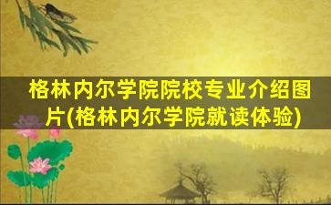 格林内尔学院院校专业介绍图片(格林内尔学院就读体验)