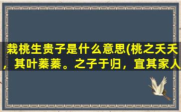 栽桃生贵子是什么意思(桃之夭夭，其叶蓁蓁。之子于归，宜其家人.请问什么意思)