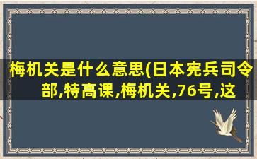 梅机关是什么意思(日本宪兵司令部,特高课,梅机关,76号,这些组织之间是什么关系)