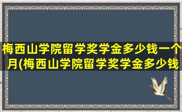 梅西山学院留学奖学金多少钱一个月(梅西山学院留学奖学金多少钱啊)