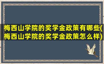 梅西山学院的奖学金政策有哪些(梅西山学院的奖学金政策怎么样)