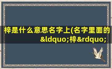 梓是什么意思名字上(名字里面的“梓”是什么意思)