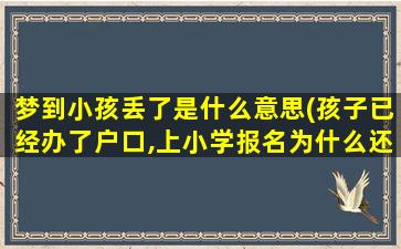 梦到小孩丢了是什么意思(孩子已经办了户口,上小学报名为什么还要出生证明。如果丢了怎么办)