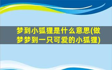 梦到小狐狸是什么意思(做梦梦到一只可爱的小狐狸)