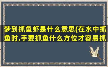 梦到抓鱼虾是什么意思(在水中抓鱼时,手要抓鱼什么方位才容易抓到)