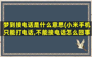 梦到接电话是什么意思(小米手机只能打电话,不能接电话怎么回事)