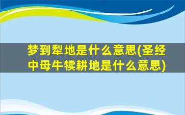 梦到犁地是什么意思(圣经中母牛犊耕地是什么意思)