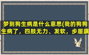 梦到狗生病是什么意思(我的狗狗生病了，四肢无力、发软，步履蹒跚，这是怎么回事)