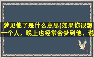 梦见他了是什么意思(如果你很想一个人，晚上也经常会梦到他，说明什么)