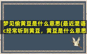 梦见偷黄豆是什么意思(最近混语c经常听到黄豆，黄豆是什么意思)