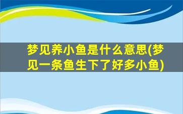 梦见养小鱼是什么意思(梦见一条鱼生下了好多小鱼)