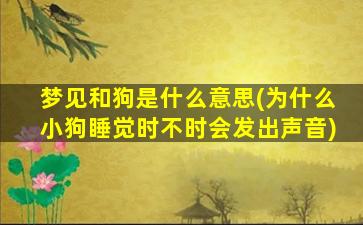 梦见和狗是什么意思(为什么小狗睡觉时不时会发出声音)