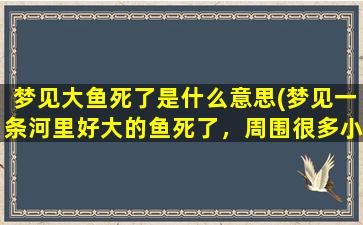 梦见大鱼死了是什么意思(梦见一条河里好大的鱼死了，周围很多小鱼在吃那条死掉的大鱼)