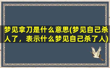 梦见拿刀是什么意思(梦见自己杀人了，表示什么梦见自己杀了人)