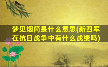 梦见烟筒是什么意思(新四军在抗日战争中有什么战绩吗)