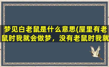 梦见白老鼠是什么意思(屋里有老鼠时我就会做梦，没有老鼠时我就不会做梦，是什么原因)