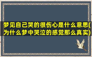 梦见自己哭的很伤心是什么意思(为什么梦中哭泣的感觉那么真实)