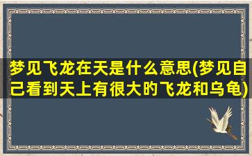 梦见飞龙在天是什么意思(梦见自己看到天上有很大旳飞龙和乌龟)