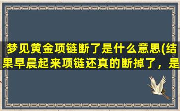 梦见黄金项链断了是什么意思(结果早晨起来项链还真的断掉了，是为什么啊)