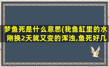 梦鱼死是什么意思(我鱼缸里的水刚换2天就又变的浑浊,鱼死好几条啦,这是怎么啦)