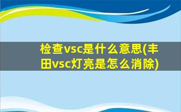 检查vsc是什么意思(丰田vsc灯亮是怎么消除)