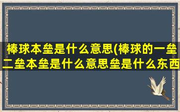 棒球本垒是什么意思(棒球的一垒二垒本垒是什么意思垒是什么东西)