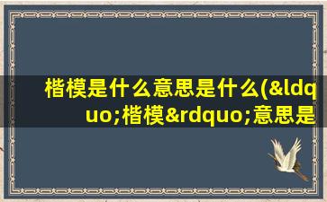 楷模是什么意思是什么(“楷模”意思是什么)