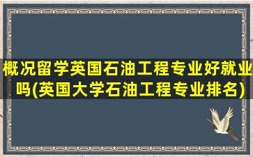 概况留学英国石油工程专业好就业吗(英国大学石油工程专业排名)