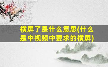 横屏了是什么意思(什么是中视频中要求的横屏)