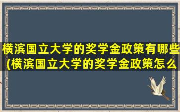 横滨国立大学的奖学金政策有哪些(横滨国立大学的奖学金政策怎么样)