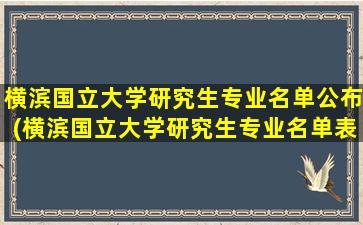 横滨国立大学研究生专业名单公布(横滨国立大学研究生专业名单表)