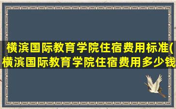 横滨国际教育学院住宿费用标准(横滨国际教育学院住宿费用多少钱)