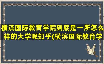 横滨国际教育学院到底是一所怎么样的大学呢知乎(横滨国际教育学院到底是一所怎么样的大学呢英语)