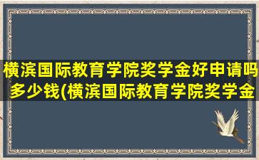 横滨国际教育学院奖学金好申请吗多少钱(横滨国际教育学院奖学金好申请吗现在)