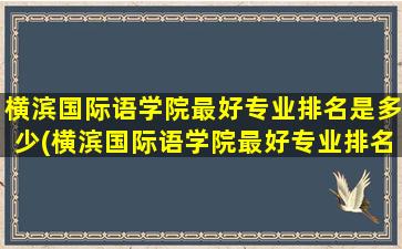 横滨国际语学院最好专业排名是多少(横滨国际语学院最好专业排名表)