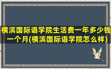 横滨国际语学院生活费一年多少钱一个月(横滨国际语学院怎么样)