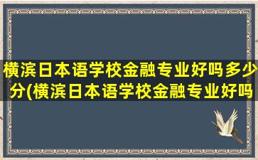 横滨日本语学校金融专业好吗多少分(横滨日本语学校金融专业好吗怎么样)