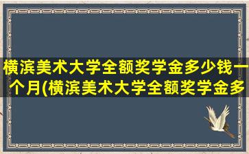 横滨美术大学全额奖学金多少钱一个月(横滨美术大学全额奖学金多少钱啊)