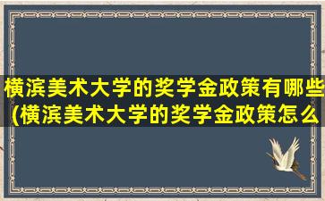 横滨美术大学的奖学金政策有哪些(横滨美术大学的奖学金政策怎么样)